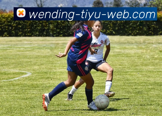 问鼎娱乐全站App